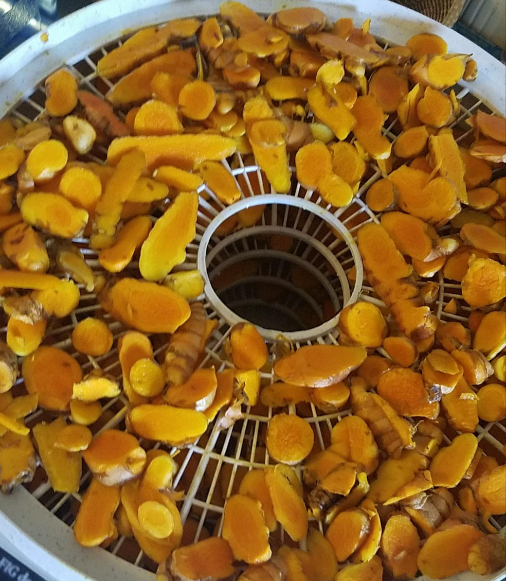 Olena (turmeric)