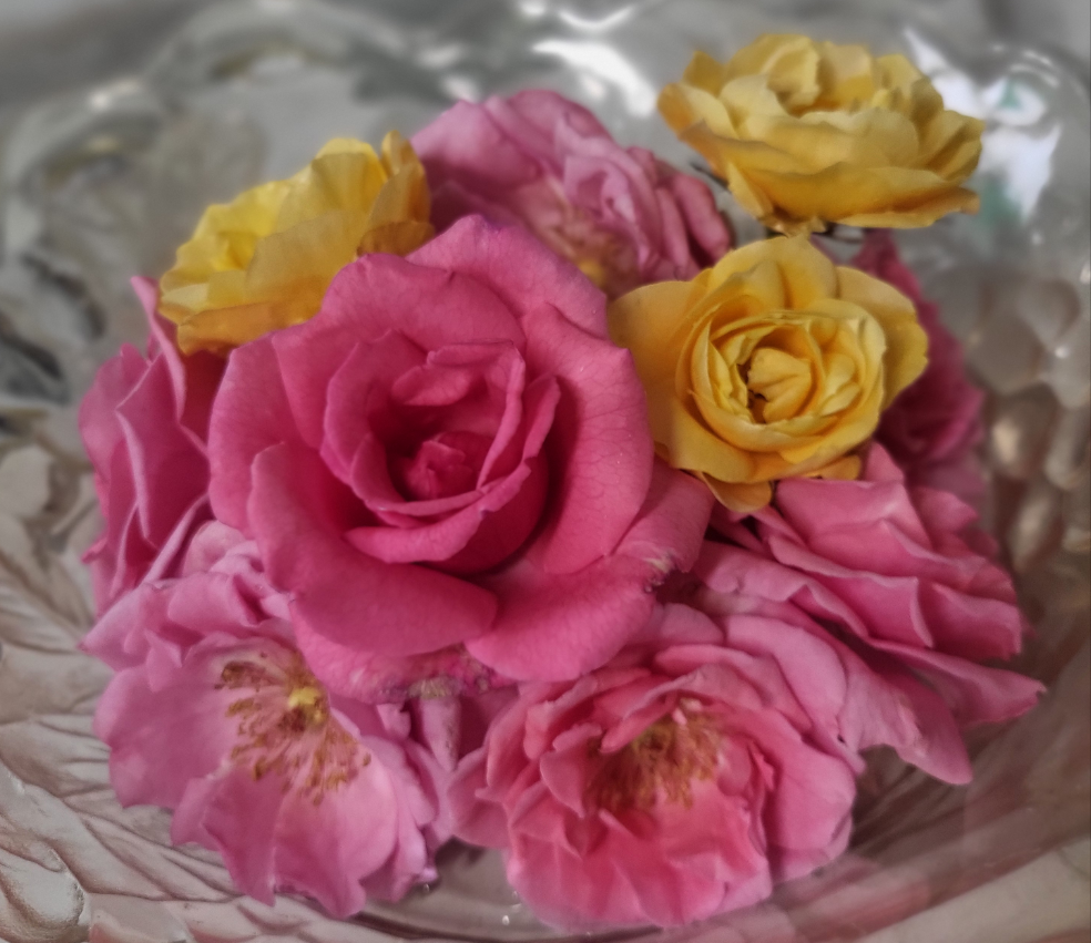 Rose Petals